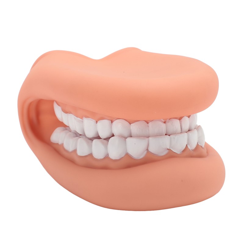 Mouth Puppet with Tongue 28 Teeth Silicone Speech Therapy Demonstration