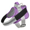 Bolux Dog Harness, No-Pull Reflective Dog Vest, Breathable Adjustable Pet