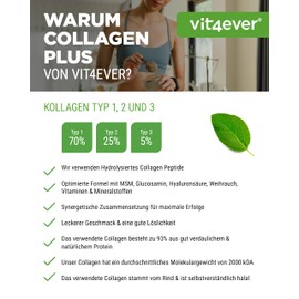 Collagen Plus - 500 g Powder with MSM, Glucosamine HCL, Hyaluronic Acid, Frankincense Extract - 100% Bioactive Collagen Hydrolysate Peptides - Collagen Type 1, 2 & 3 - Raspberry Strawberry Flavour