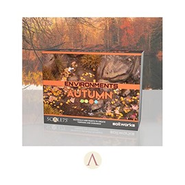 Environments - Autumn