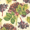 Boston International Papierservietten 6.5" X 6.5" Elderberry Cream