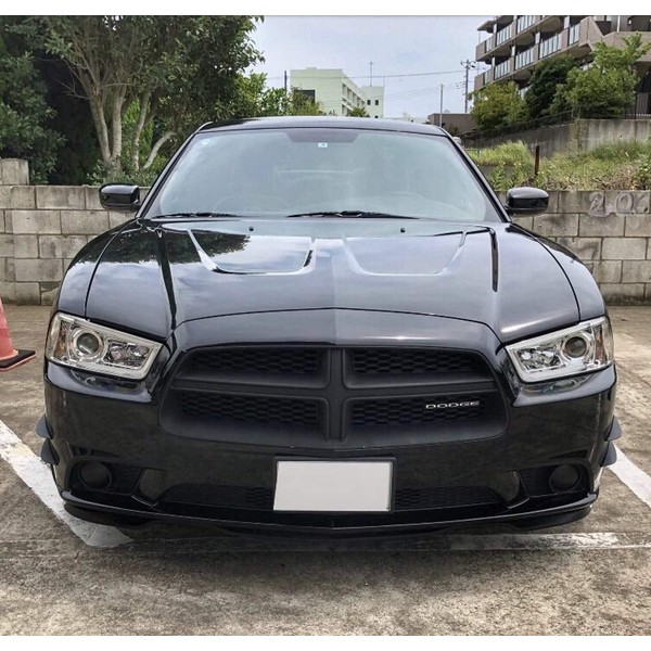 Luxe Auto Concepts 2011-14 Dodge Charger Fog Light Tint Kit