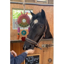 Ruggles Horse Stable Toy | Boredom buster for horse pony donkey (Multi Ring)