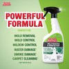 MOLD ARMOR Mold Remover & Disinfectant Cleaner, 32 oz. Spray