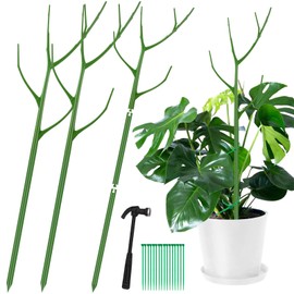 2 Pack 40 Inch Adjustable Plant Support Stakes - Plants Support Sticks for Indoor Outdoor Potted Plants Tree Tall, Plant Climbing Structures Support as Moss Pole for Plants Monstera