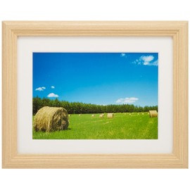 FUJICOLOR YM-3 Series Picture Frame