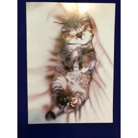 Avanti Greetings Romance Greeting Card "If I had nine lives..."(A33)