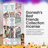 Gonesh Best Friends Purrrfect Pet Collection - Incense Sticks Variety