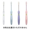 IONIC Ultra Fine Regular Main Unit, Normal (*Color cannot be