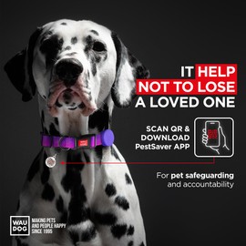 Nylon Dog Collar with Airtag Holder - Adjustable Dog Collar for Large Dogs, Small & Medium Dogs - Breakaway Puppy Collars for Large Breed Dogs - Boy & Girl Dog Collars with Durable Plastic Buckle