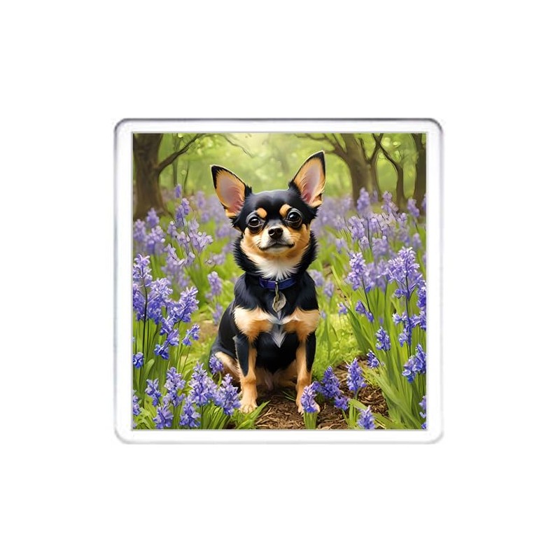 Chihuahua Coaster Set. 4 different Chihuahua Dog Pictures on 10cm