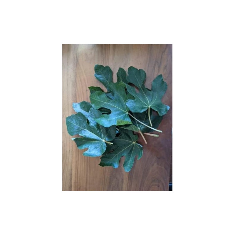 1 oz (30 grams) Organic Ficus carica leaves, Dried smashed