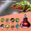 HARTOMPET 60W Infrared Red Heat Lamp – Basking Spot Bulb