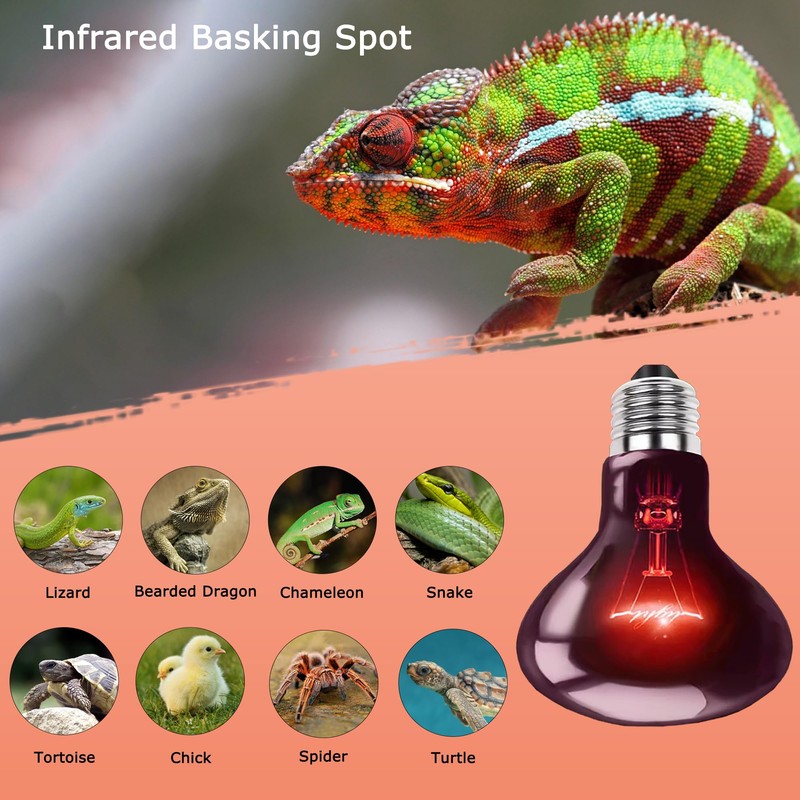 HARTOMPET 60W Infrared Red Heat Lamp – Basking Spot Bulb