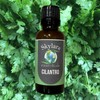 Cilantro Essential Oil - 100% Pure and Therapeutic Grade -