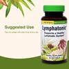 Herbs Etc. Lymphatonic Softgels - Lymph System Support - Support