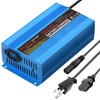 24V 5A Smart Automatic Battery Charger & Maintainer, Portable XLR