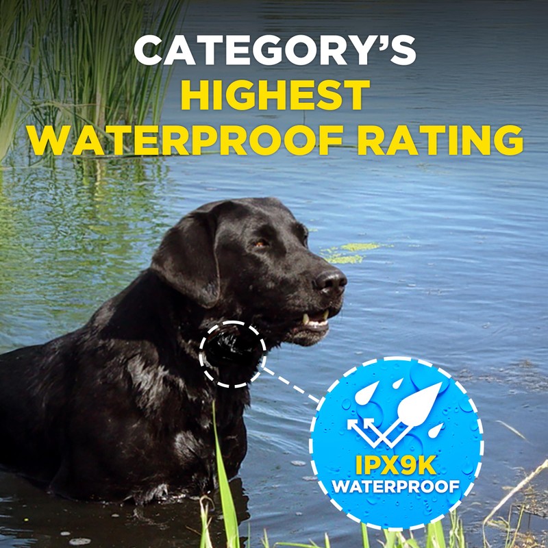 Dogtra Smart NOBARK Detects Whining and Barking, 33 ft Range