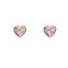 Ted Baker Neena Nano Heart Stud Earrings - Silver or