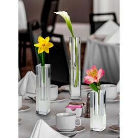 Serene Spaces Living Small Modern Crystal Square Bud Vase, Decorative Single Flower Vase for Wedding Centerpieces, Events, Parties, Home Décor Accents, Measures 5" Tall, 1.5" Long, 1.5" Wide