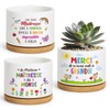 BOFUNX Set of 3 flower pots with 3 stickers