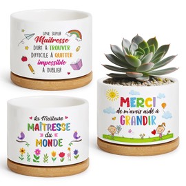 BOFUNX Set of 3 flower pots with 3 stickers