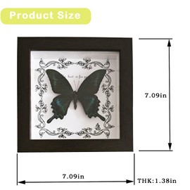 Butterfly Wall Decor,Gothic Home Decor,Real Framed Butterfly Taxidermy Butterfly, Handmade Wooden Shadow Box Taxidermy Specimen Display for Wall Hanging and Tabletop Art Home Decoration (Green-banded Swallowtail)