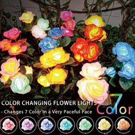 DooYard Solar Garden Lights - Newest Version Solar Lights Outdoor, 7-Color Changing Rose Lights for Yard,Garden Decoration, Enlarged Solar Panel, More Realistic Rose Flower (2 Pack)