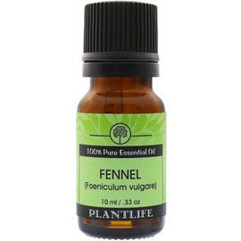 Plantlife Fennel Aromatherapy Essential Oil - Straight from The Plant 100% Pure Therapeutic Grade - No Additives or Fillers - 10 ml