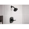 Peerless Parkwood Shower Faucet Set Black, Shower Trim Kit, Shower