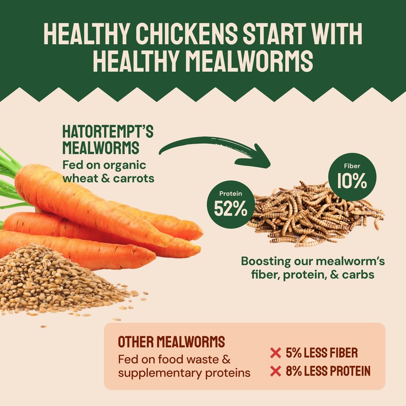 Hatortempt Bulk Dried Mealworms, 10 Lbs – Non-GMO Mealworms for
