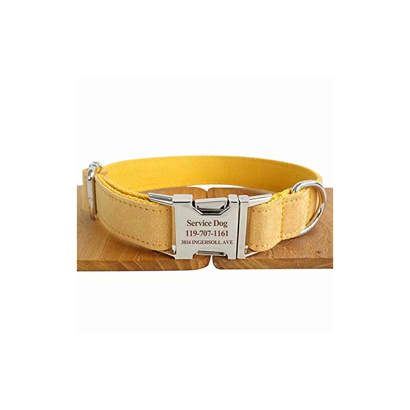 Collar de Perro Personalizado, Personalizado Grabado con láser Collares con