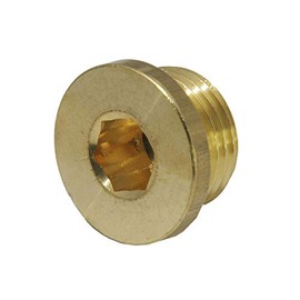 Sealing plug with hexagon socket and cylindrical thread G 1 1/2 inch, 16 bar brass