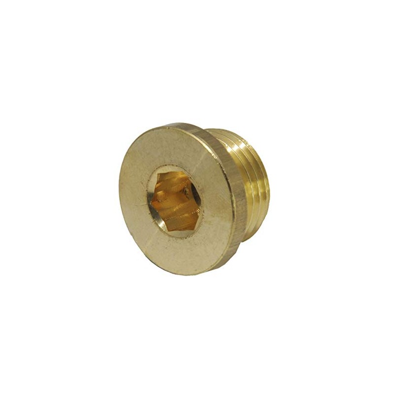 Sealing plug with hexagon socket and cylindrical thread G 1