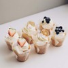 2" Disposable Baking Cups, Muffin Cupcake Cups Liners, Tulip Baking