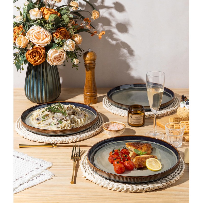 theterra Dinner Plates Set of 6, 10.25 Inch Ceramic Dinner