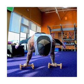 Venbytech for Push Up Bar Calisthenics Equipment, Solid Wood Parallettes Bars for Floor Use...
