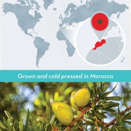 DIYBeauty Bulk Argan Oil - 16 Fl Oz Large Size Bottle - Natural, Cold Pressed, 100 Percent Pure Argan Oil for Homemade Hair, Face and Skin Products - Light Aceite de Argan Carrier Oil