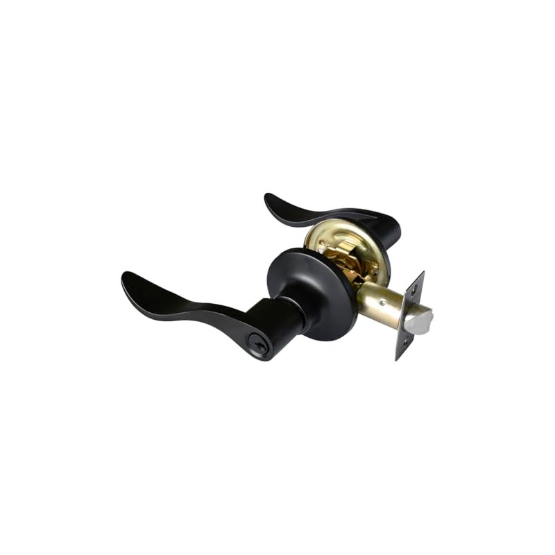 Dexter 5822 Cerradura Manija Mercurio 35-45mm con Llave, Negro