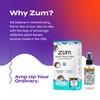 Zum Wool Dryer Balls Kit Plus Zum Mist - 3