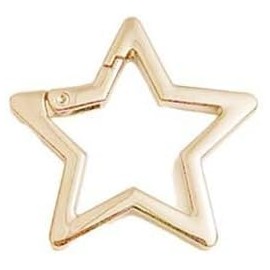 Star Shaped Stainless Steel Keychain, Car Keychain, Carabiners for Keys and Wallet Accessory with Key Chain Rings（41mm） (Gold)