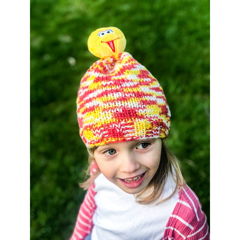 Lion Brand Yarn Sesame Street One Hat Wonder yarn, Size,