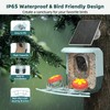 Smart Bird Feeder with Camera Solar Powered - 2K HD