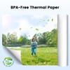 Phomemo A4 Thermal Printer Paper 4 Rolls, 210x297 mm, BPA