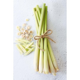 Spicy Sate: Chili Oil with Lemongrass and Garlic 6 oz. (Zest)