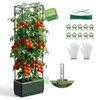 Raised Garden Bed Tomato Planter with Trellis, 52" Self Watering