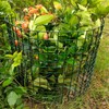 Plant Protectors from Animals for Garden – Plant Cage 10
