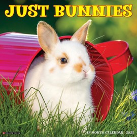 Willow Creek Press Bunnies Monthly 2025 Wall Calendar (12" x 12")