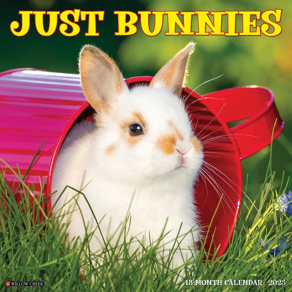 Willow Creek Press Bunnies Monthly 2025 Wall Calendar (12" x