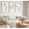 Set Of 3 Botanical Wall Prints Sage Green (A3)